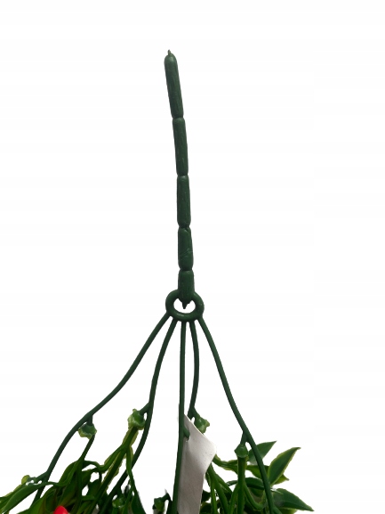 GIRLANDA RUSKUS ZWIS PNĄCZE BLUSZCZ Wysokość maksymalna 78 cm