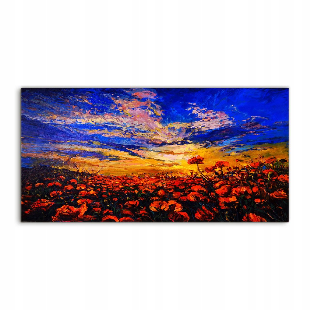 

Fotoobraz 120x60 nowoczesny Krajobraz Niebo Łąka