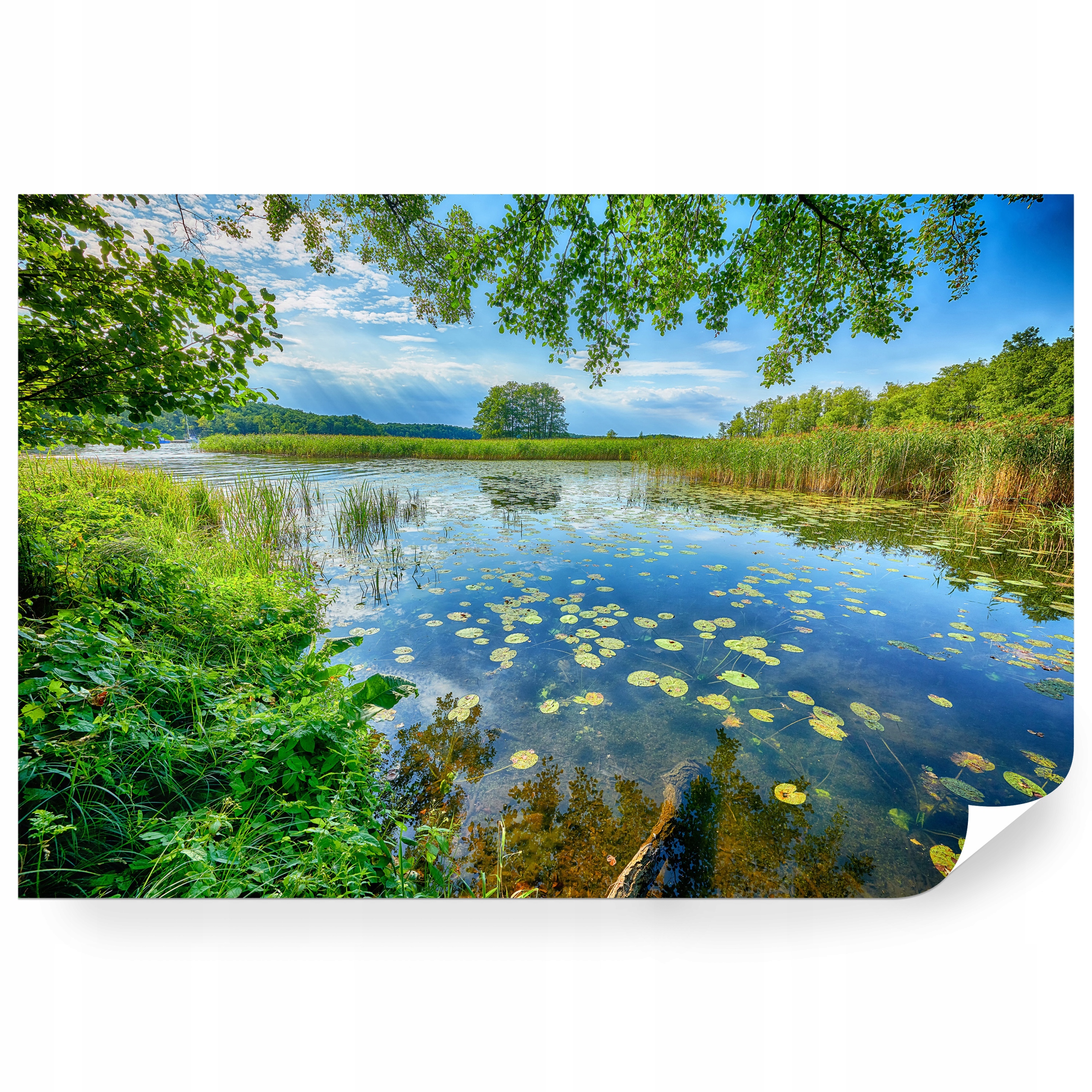Fototapeta samolepicí Jezero Na Mazurách Obklopená Lesem 270 x 180 cm