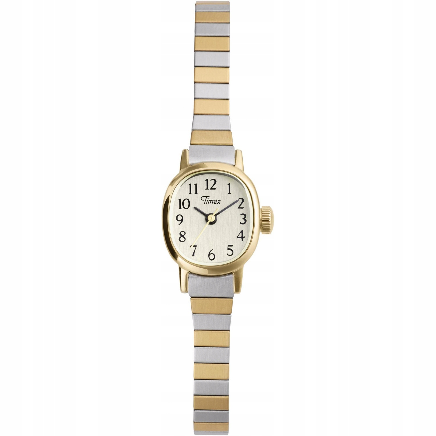 Dámské hodinky Timex TW2Y66900 stříbrné