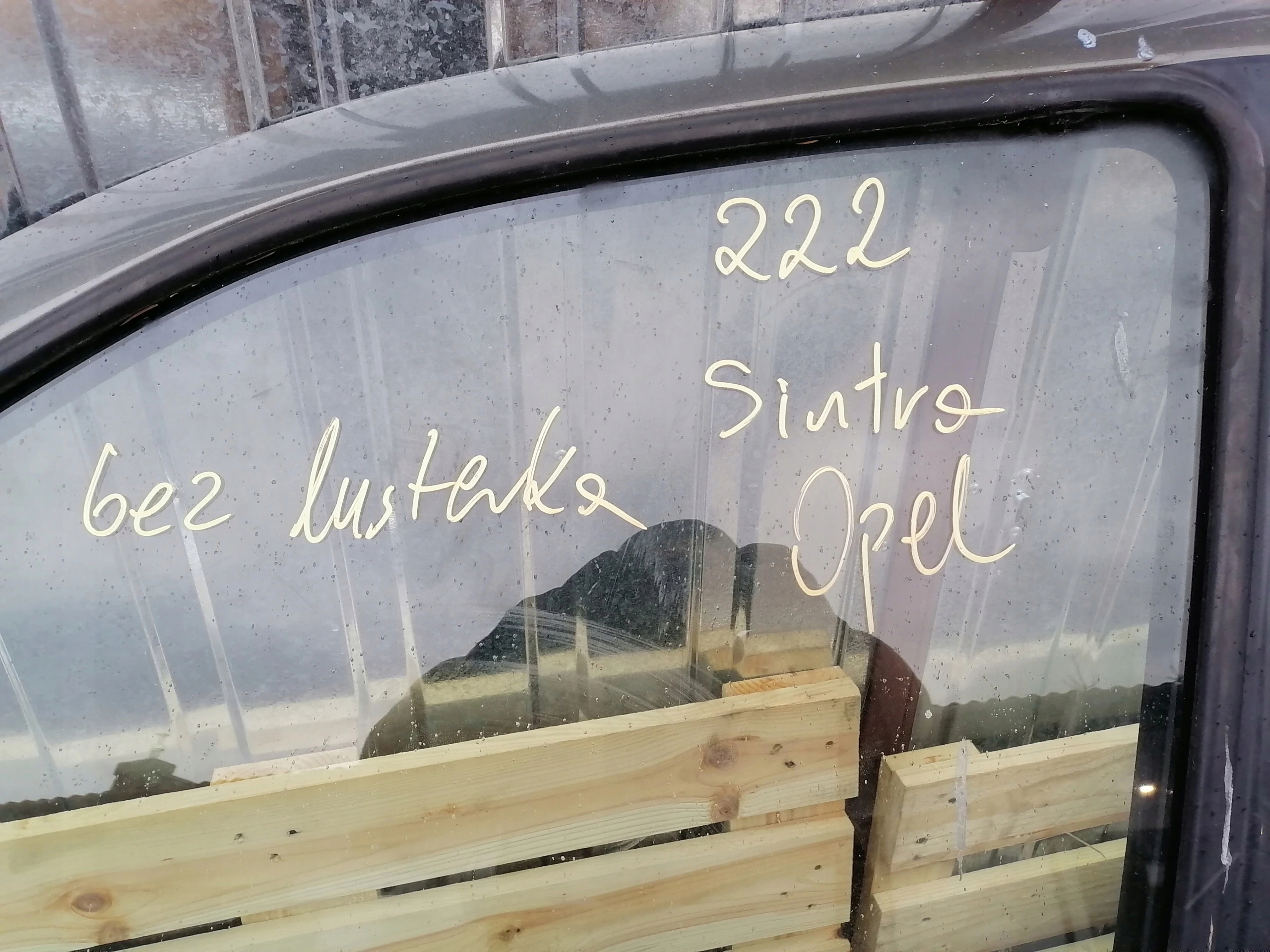 OPEL SINTRA door left front front