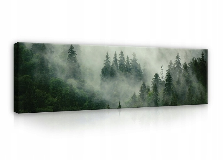 

Obraz Las We Mgle Nowoczesny Duży Salon 145x45