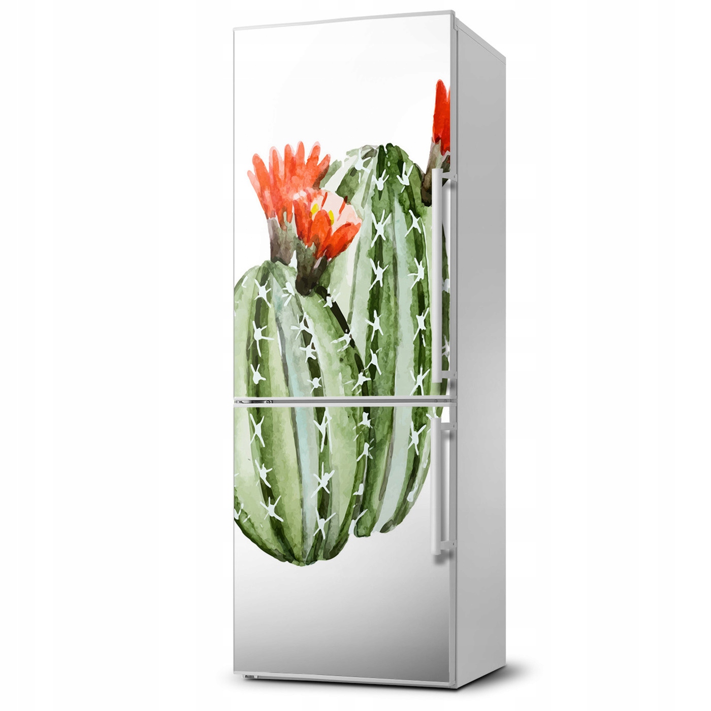 

Magnes fototapety na lodówkę Kaktusy 60x180