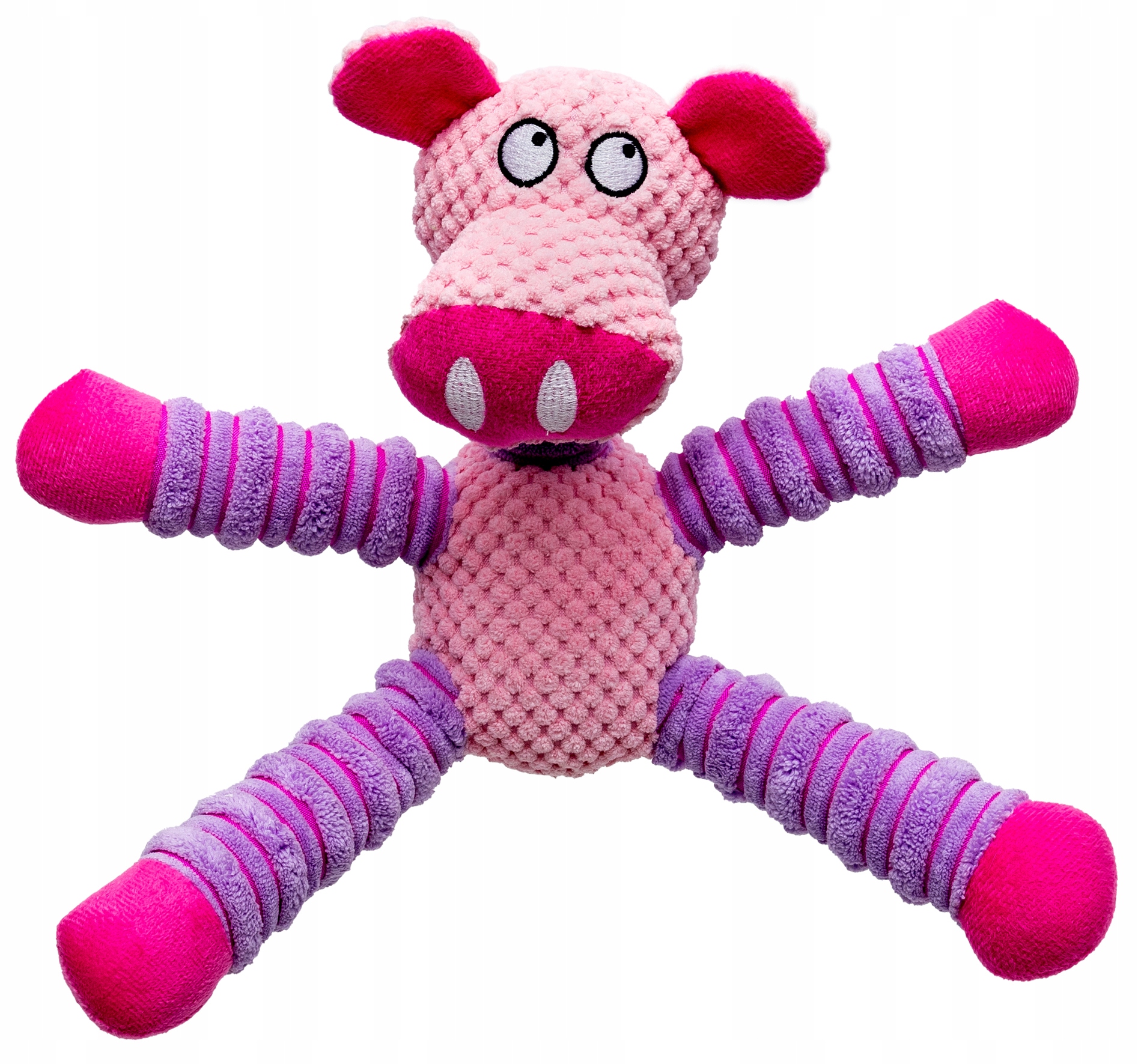 

Zabawka dla psa Piszcząca maskotka pluszak