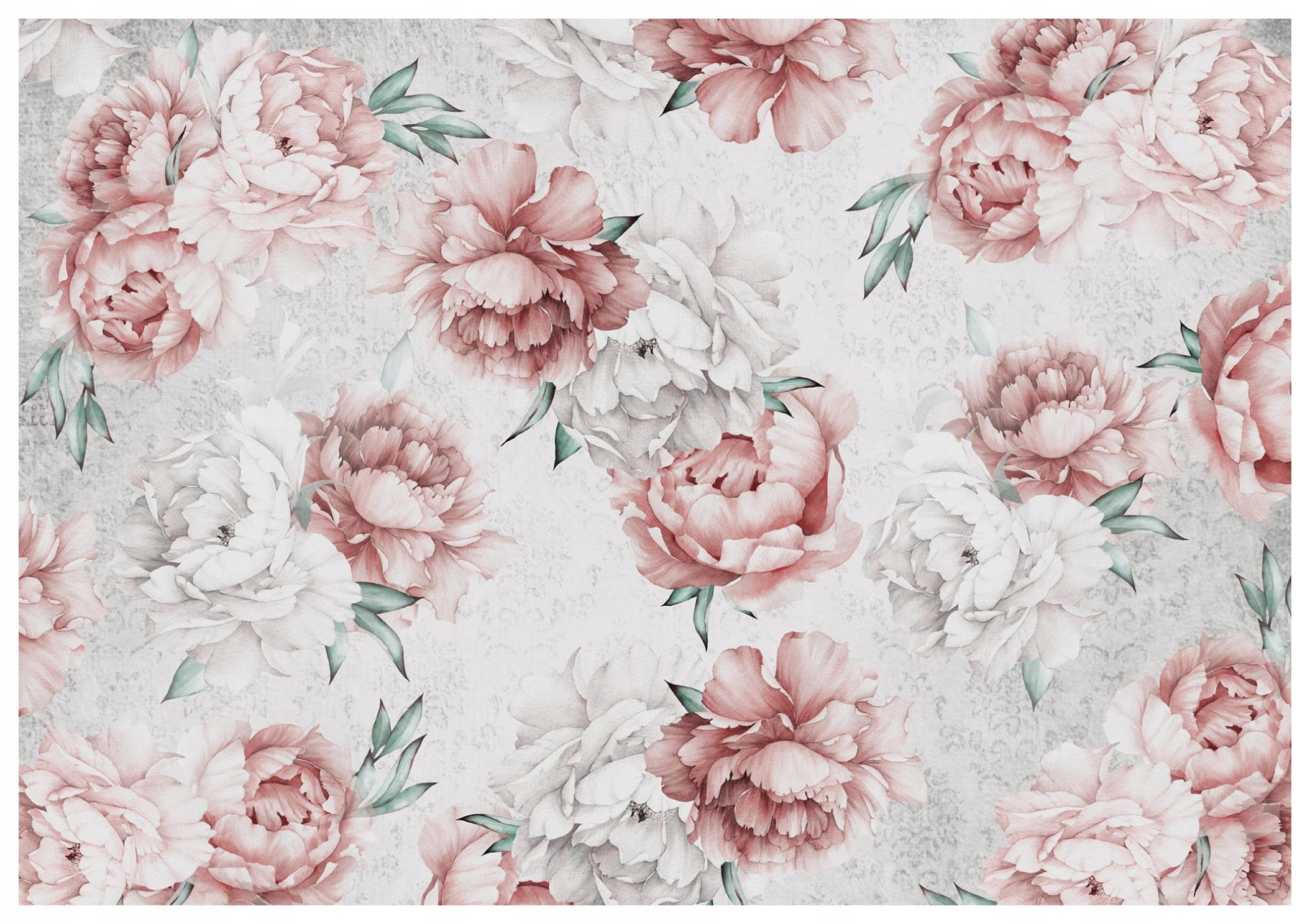 Fototapeta Pivoňky růžovo-bílá elegance jarní dekorace 208x146 lepidlo