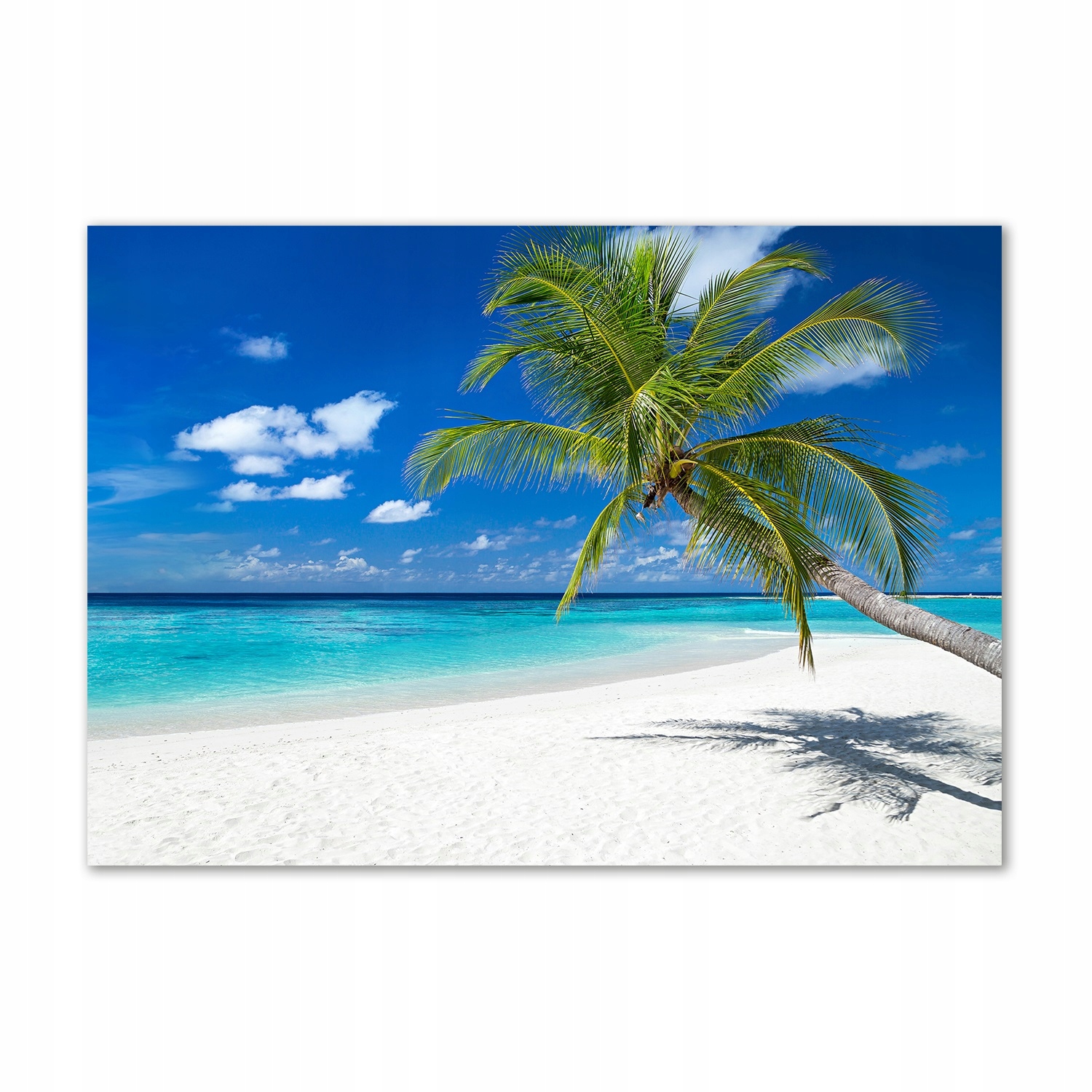 

Foto obraz szklany Tropikalna plaża 100x70