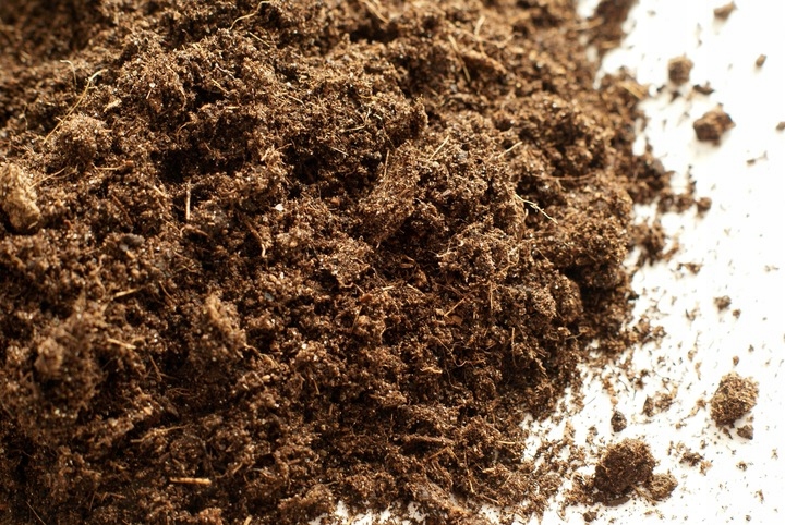 PODŁOŻE DLA ROŚLIN ZIEMIA KOKOSOWA Torf Z Włóknem Kokosowym 10L Marka Zd trading