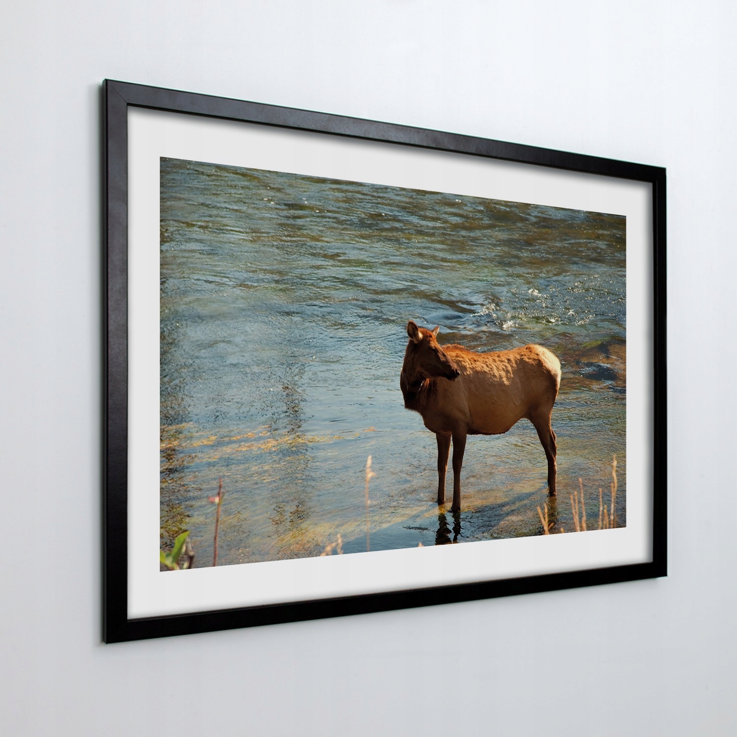 Fotoobraz v rámu na zeď Laň jezero 100x70