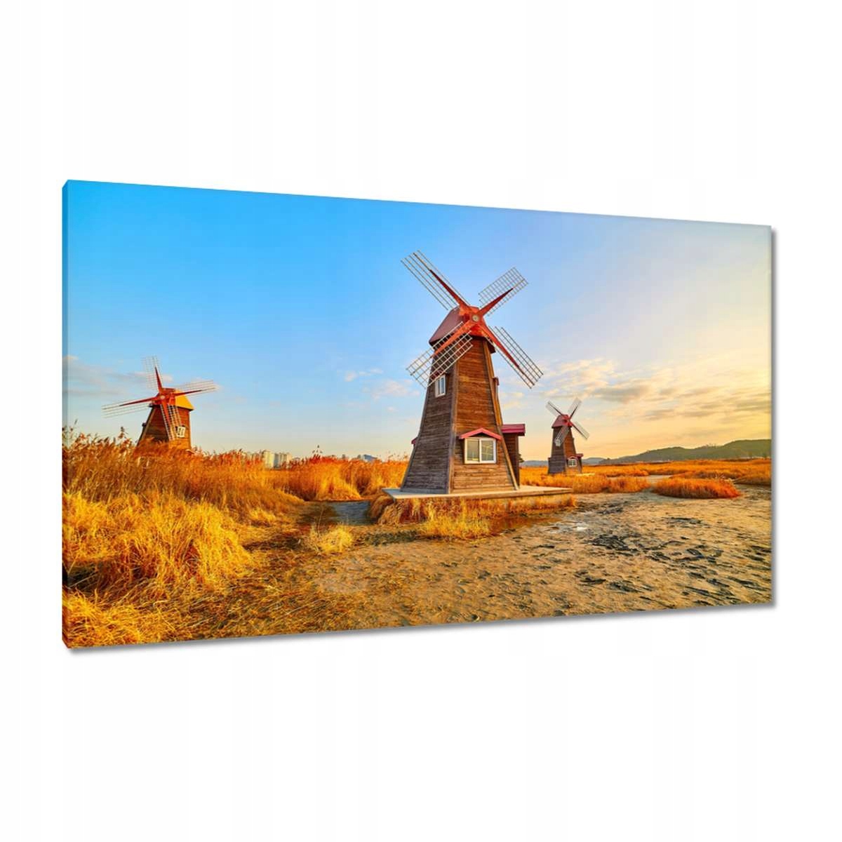 Obrazy 120x70 Dřevěný větrný mlýn Krajina