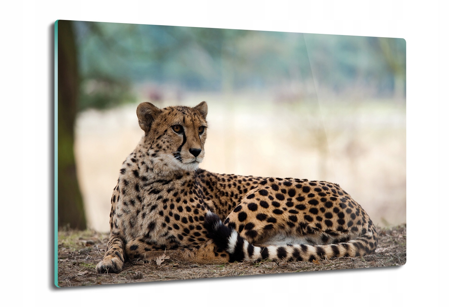 

z nadrukiem deska do krojenia Gepard kot 80x52