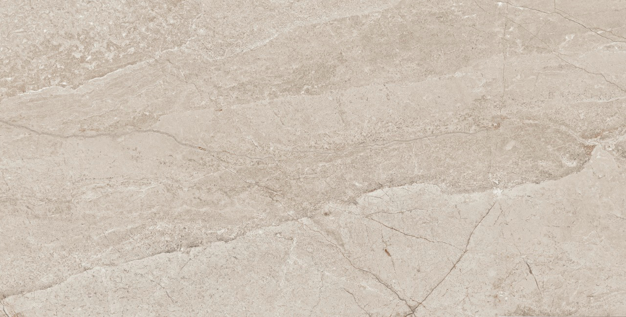 PŁYTKI PODŁOGOWE HOMES BROWN 60X120 POŁYSK KAMIEŃ Marka EGEN