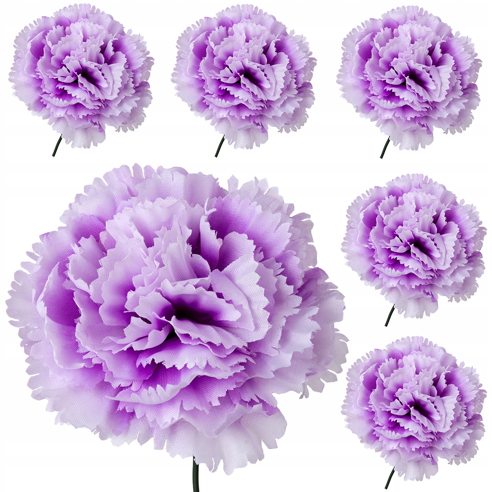 

Goździki Główki Kwiatów Goździka Kwiaty Sztuczne