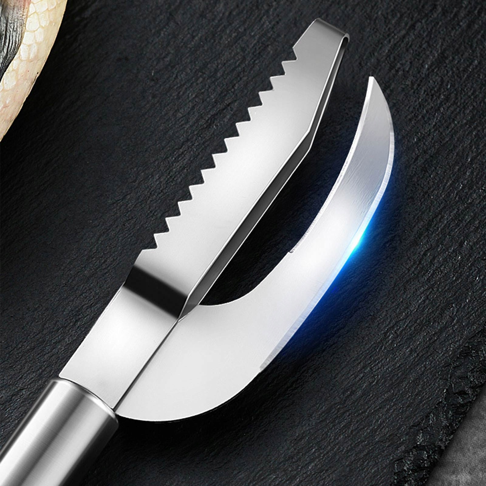 3w1 SKROBACZKA DO RYB WĘDKARSKA SKROBAK Z ŁUSEK Model Other