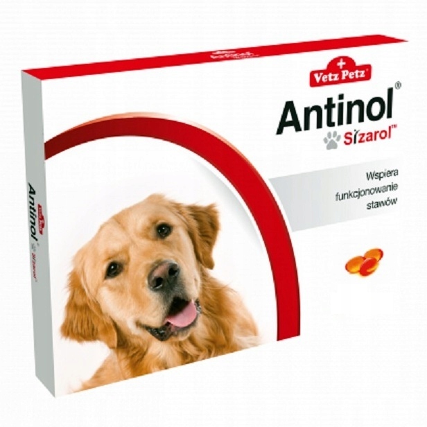 

Antinol Sizarol 30 tab. Na Stawy ważny do 09.2023
