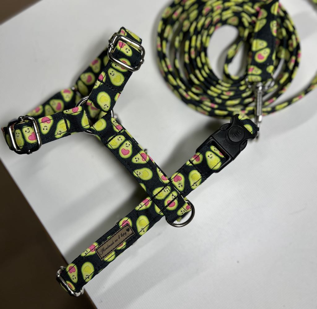 Postroj quard a vodítko