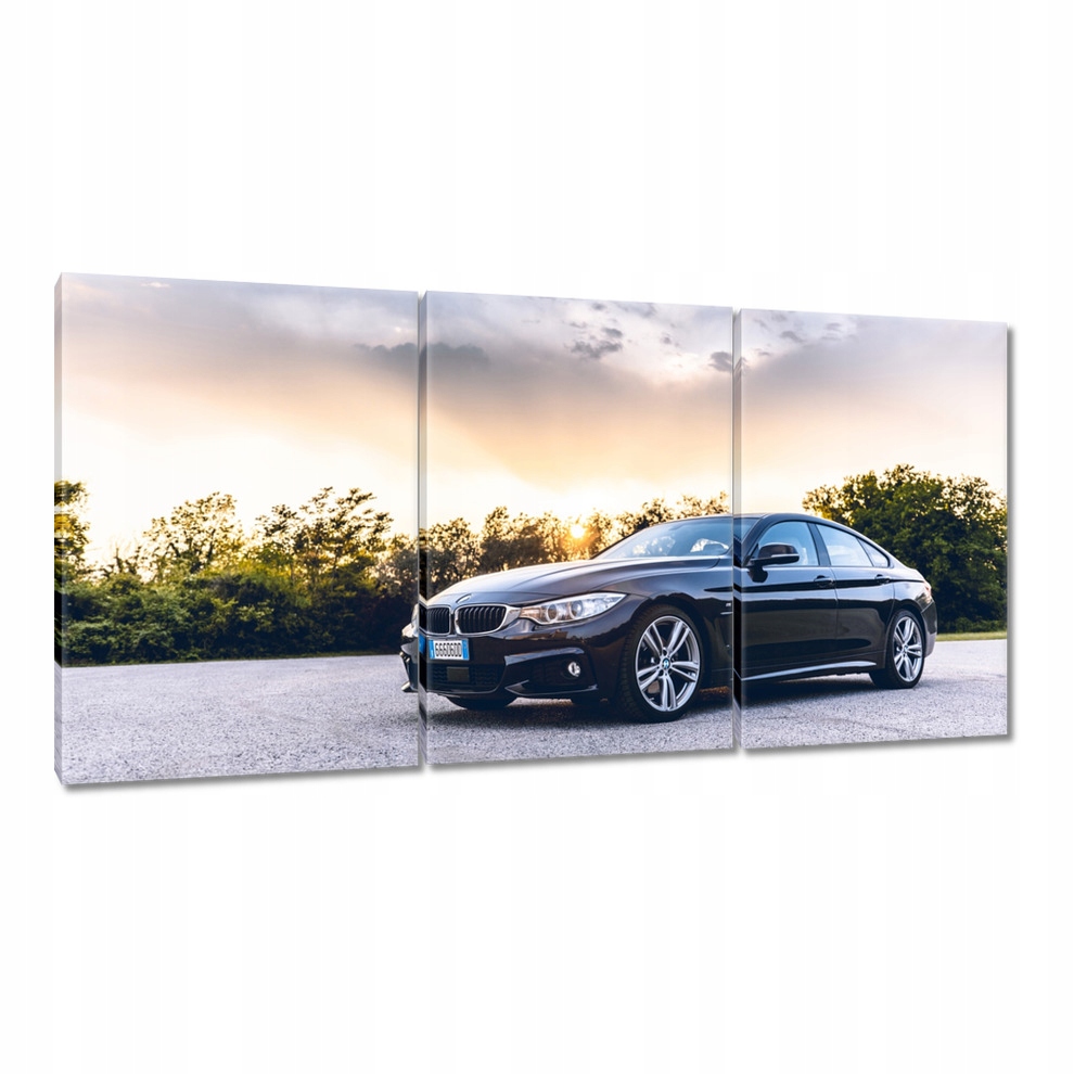 

Obrazy 120x60 Samochód Bmw Auto Klasyk