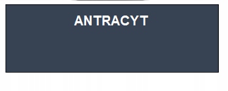 CHEMSTAL BETONKOR W FARBA DO BETONU ANTRACYT 5L EAN (GTIN) 5907699231300