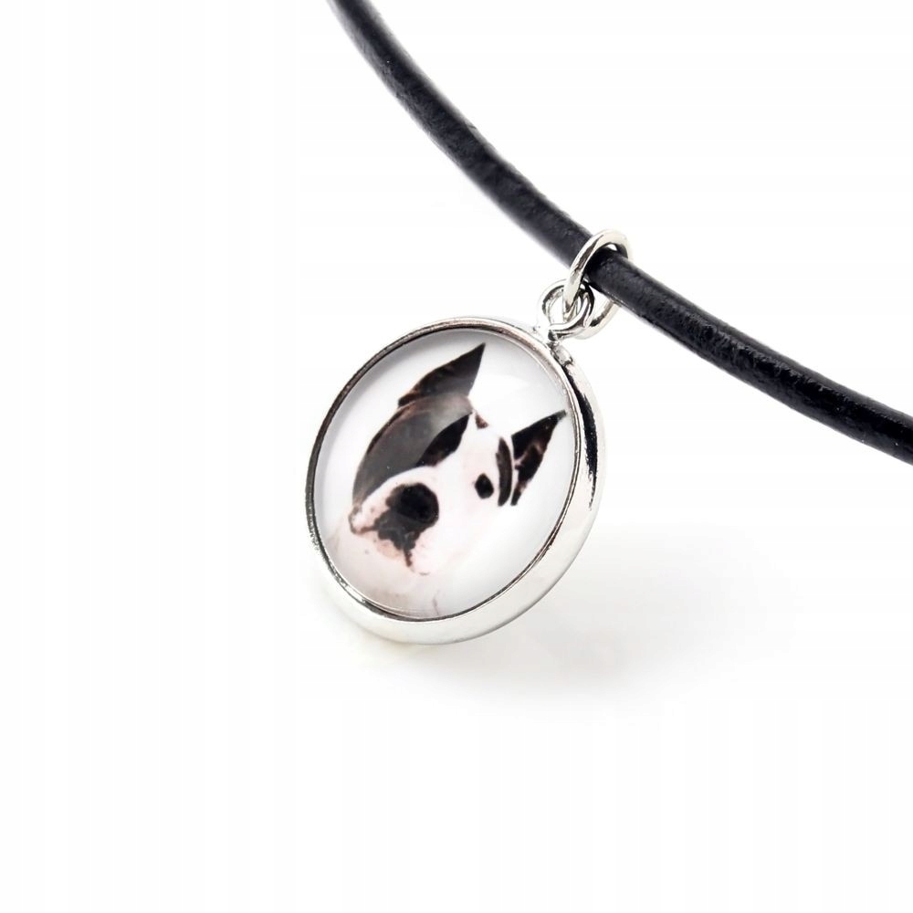 

Amstaff Naszyjnik Zawieszka z Twoim zdjęciem