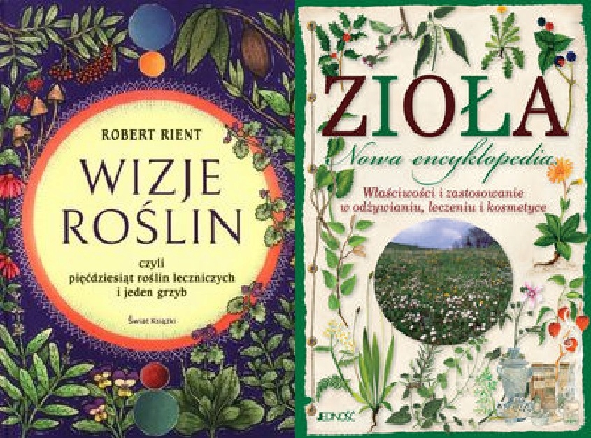 Wizje roślin Zioła Nowa encyklopedia