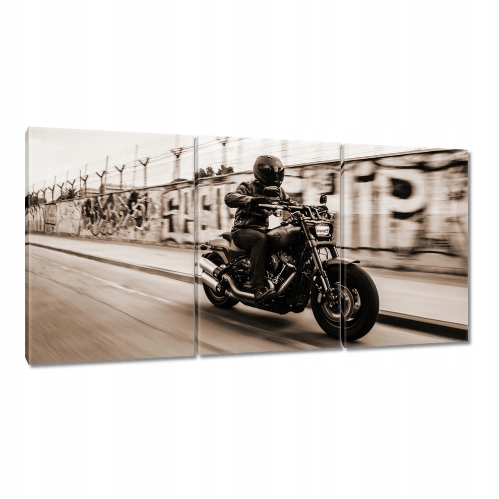

Obrazy 120x60 Harley Davidson Motocykl