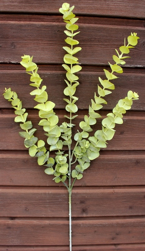 

Eukaliptus x5 Jesienna Zieleń, Duża Gałąź 80 cm