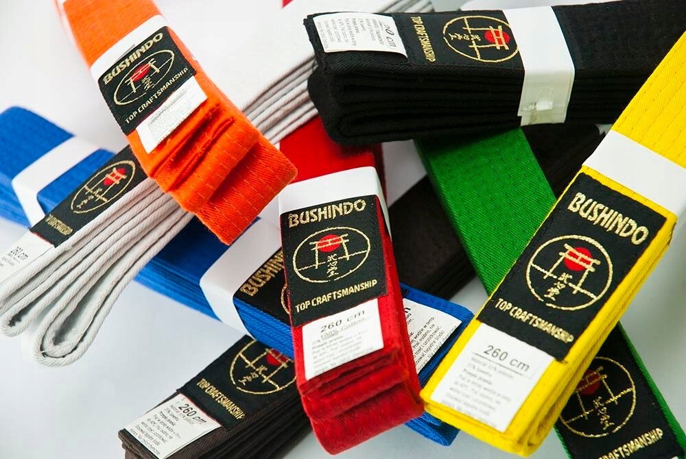 PAS KIMONA BUSHINDO BIAŁY KARATE JUDO 220 cm Długość (cm) 220 cm