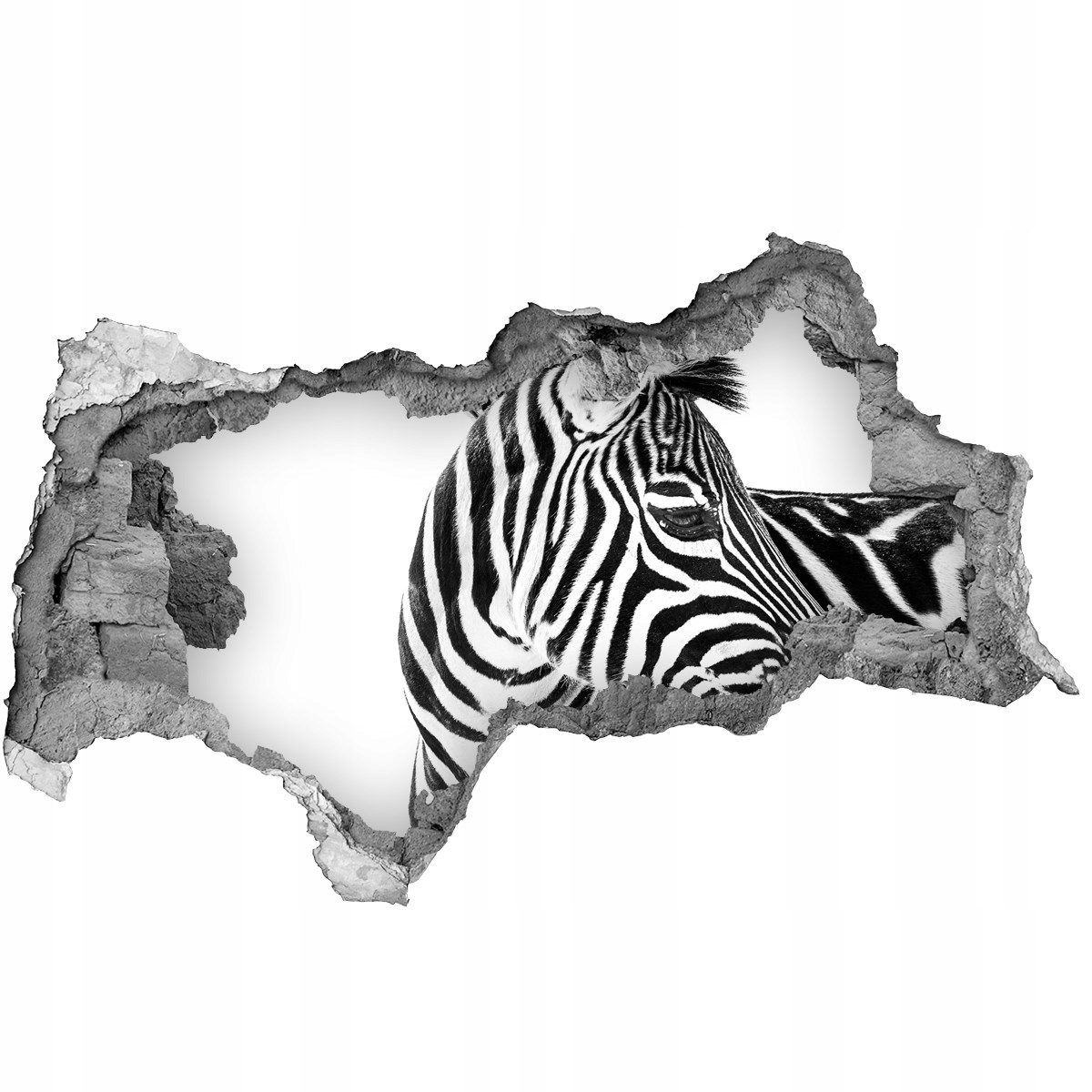 

Dziura ścienna fototapeta Zebra w śniegu 115x88