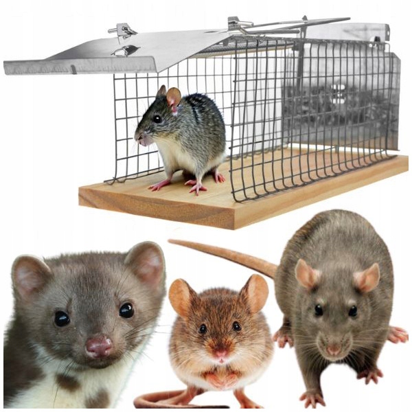 PUŁAPKA NA KUNY SZCZURY NORKI ŁASKI ŻYWOŁAPKA METALOWA ŁAPKA KLATKA