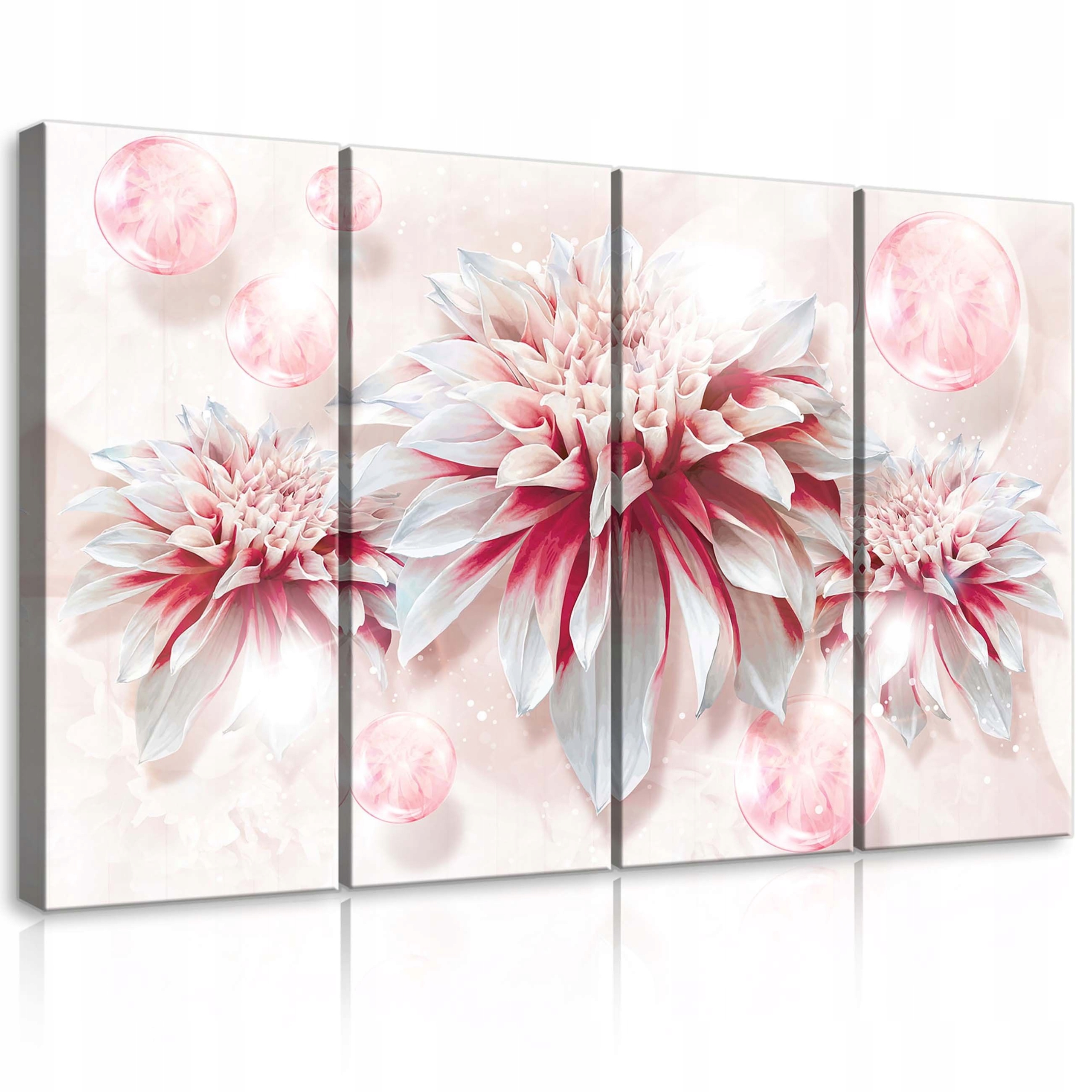 Obraz 120x80 Jemnosť kvety snílené svetlo ružové biela polypované