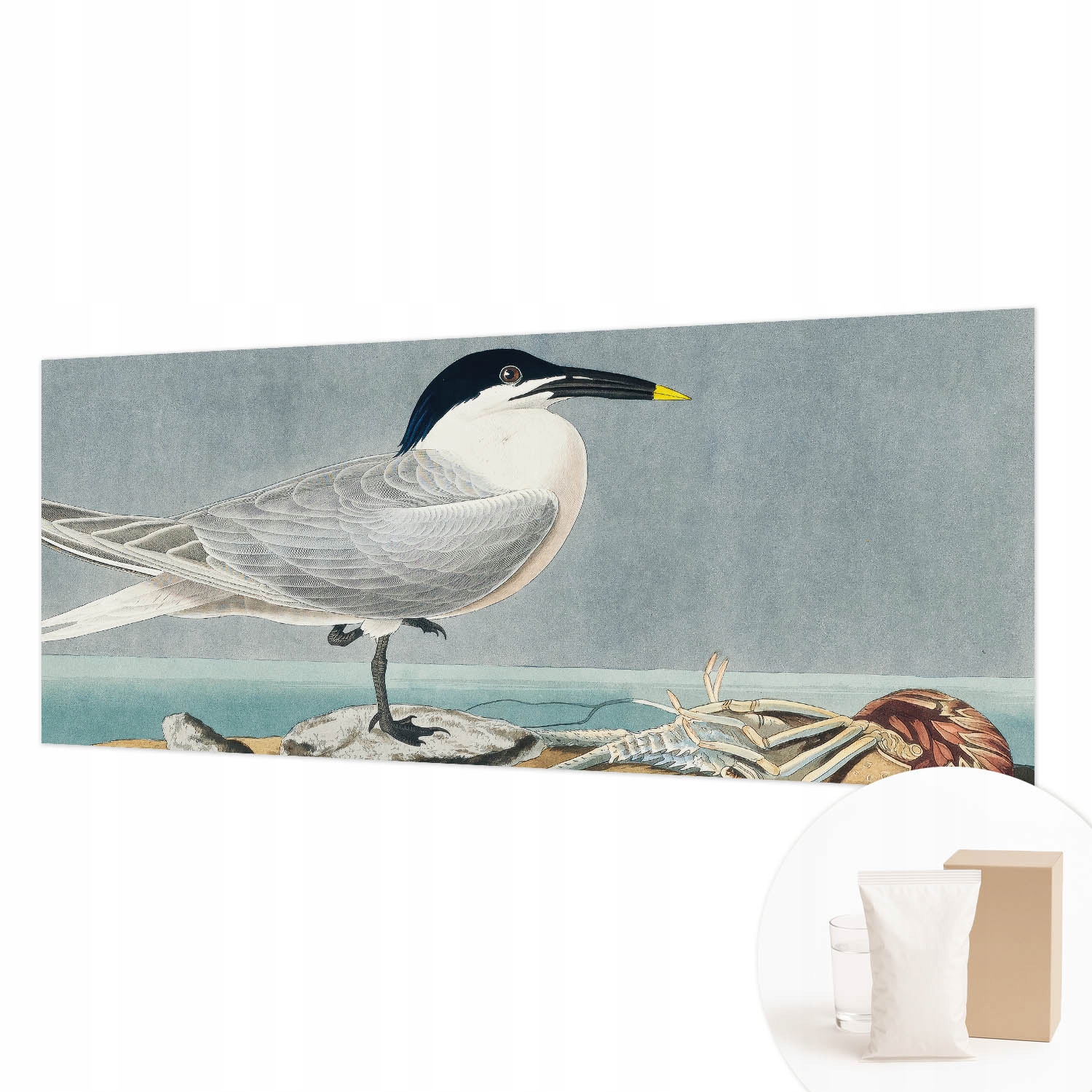 Nástěnná fototapeta do ložnice lepidlo Ornitologická elegance 250 x 104 cm