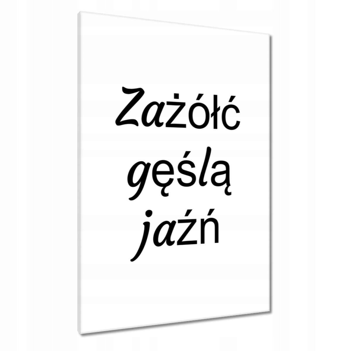 Obrazy 70x100 Zažloutněte husím já