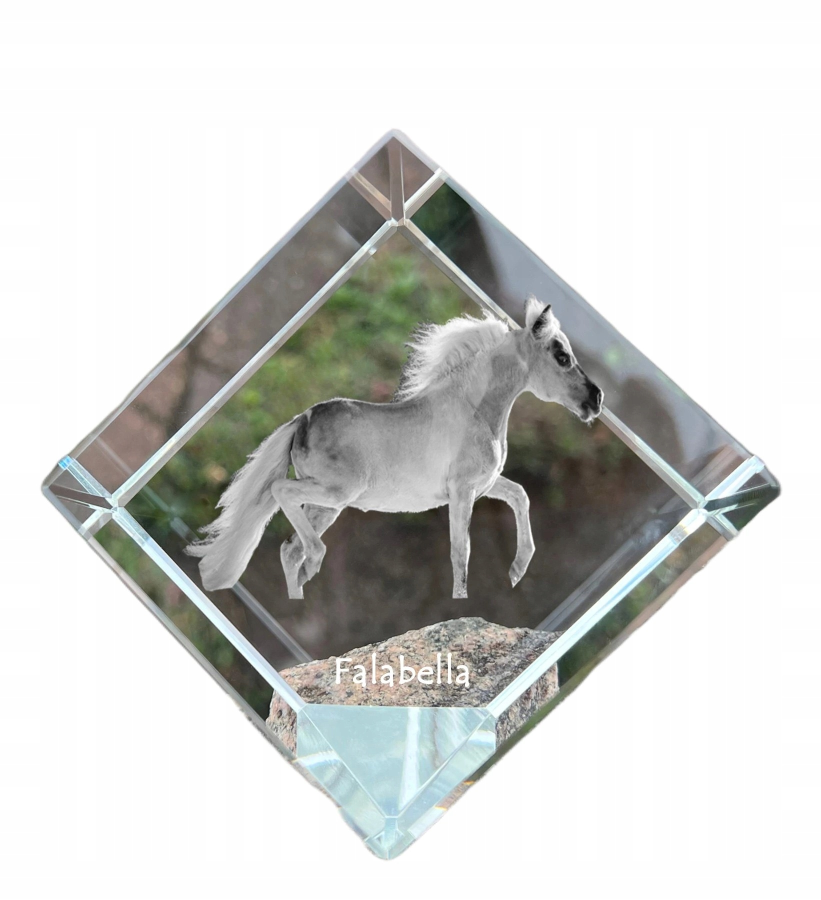 Kôň Falabella krištáľová kocka s fotografiou koňa, ozdoba do kancelárie
