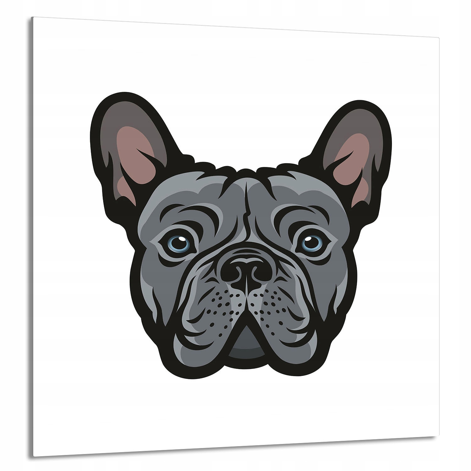 Skleněný Panel Do Kuchyně 60x65 Pes Tvrzené Sklo