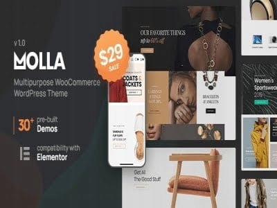 Szablon Molla - Multi-Purpose WooCommerce Theme
