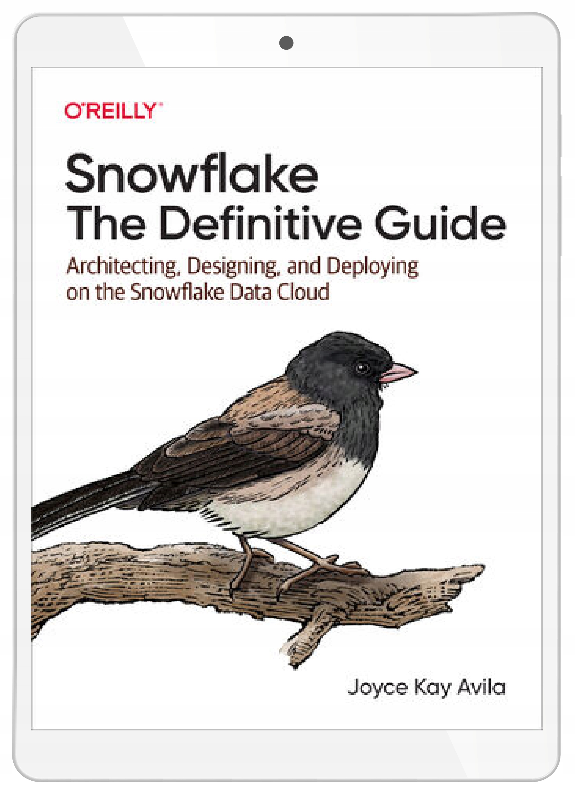 Snowflake: The Definitive Guide