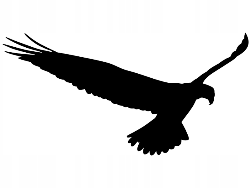 

Naklejka odstraszająca ptaki na szybę okno 35 cm