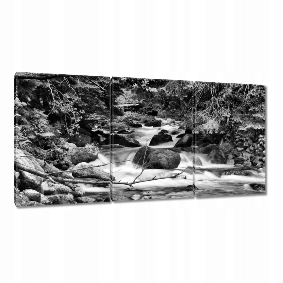 

Obrazy 120x60 Tatry Polskie góry Widok