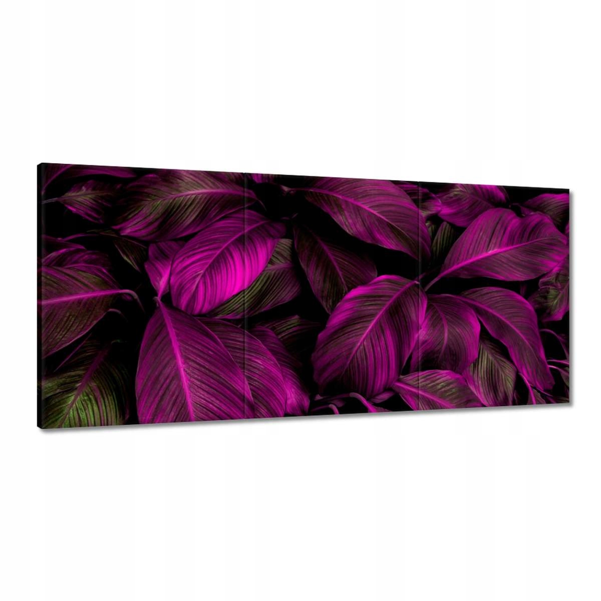 Obrazy 210x100 Krásne fuchsiové listy