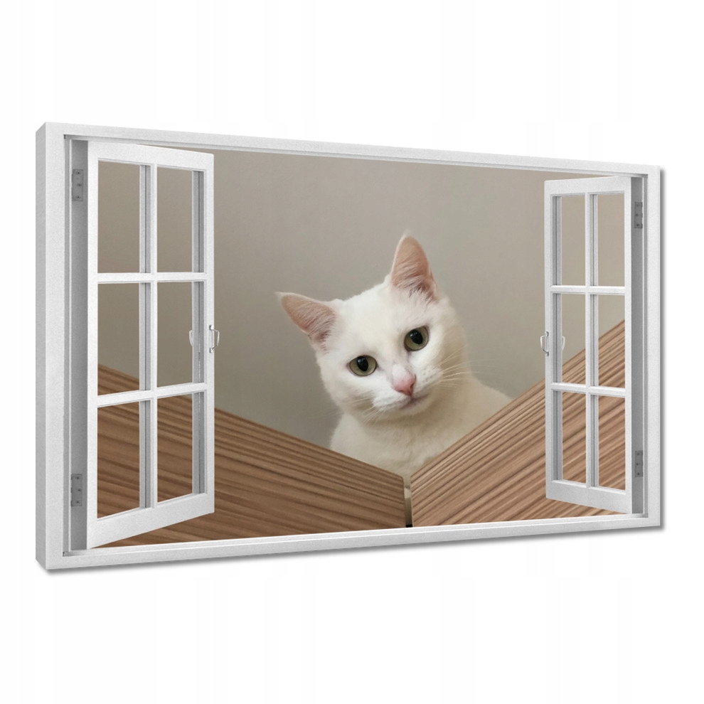 

Obrazy 120x80 Kot Kotek Kotki Koty