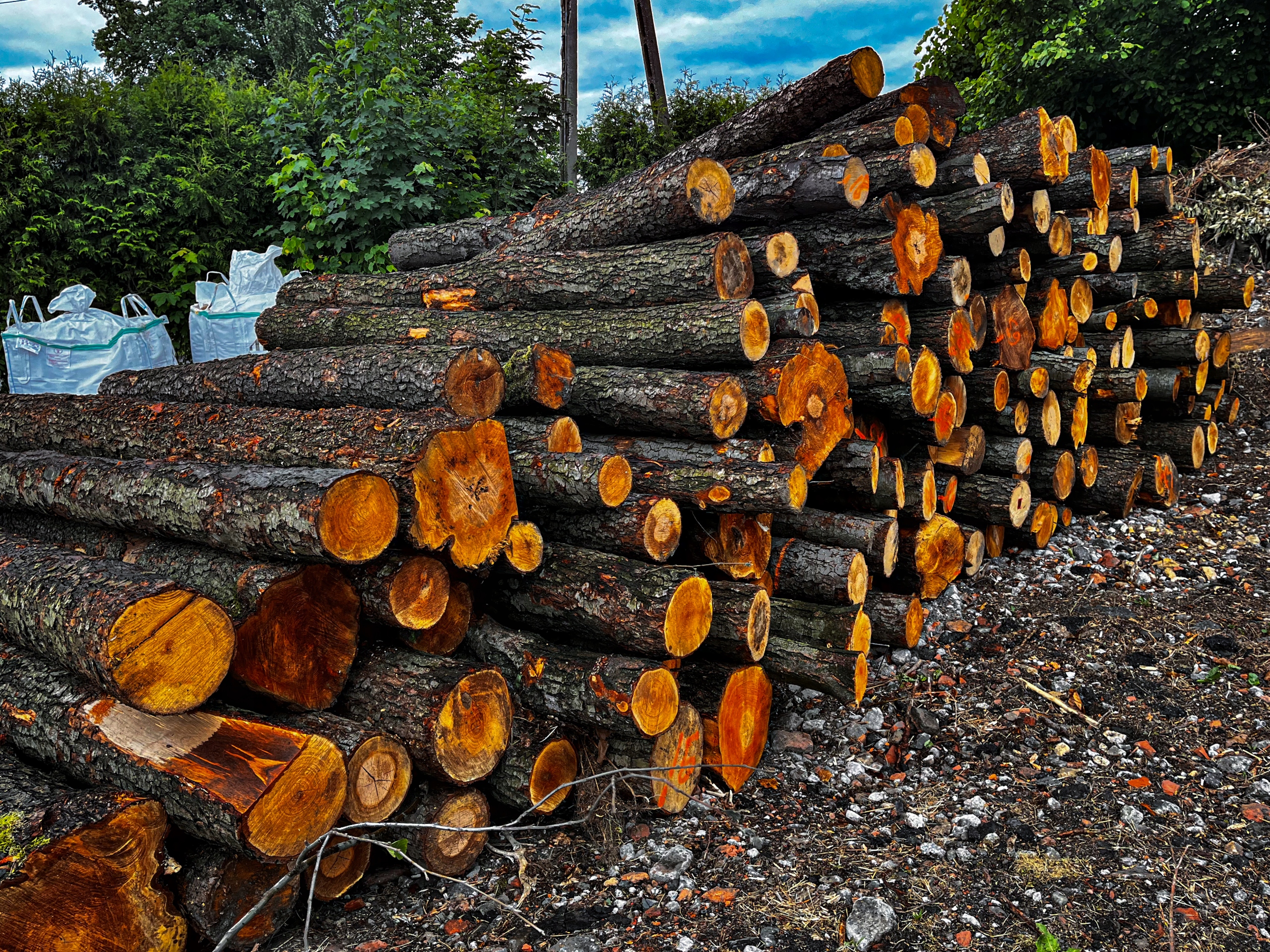 DREWNO DO PALENISKA GRILLA OGNISKA DREWNO KOMINKOWE 20 KG DO WĘDZENIA OLCHA Marka bez marki