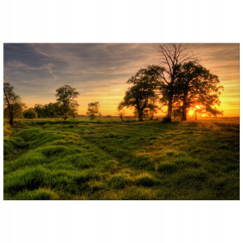 

Zachodzące słońce wśród drzew 120x80cm foto-obraz