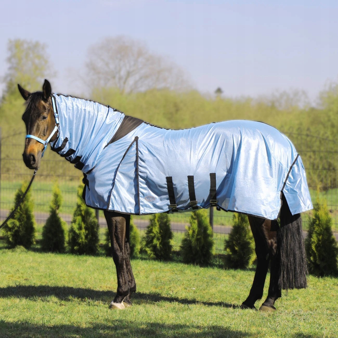 Derka York siatkowa z kapturem błękitna 145cm