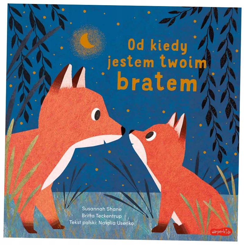Od kiedy jestem twoim bratem Britta Teckentrup