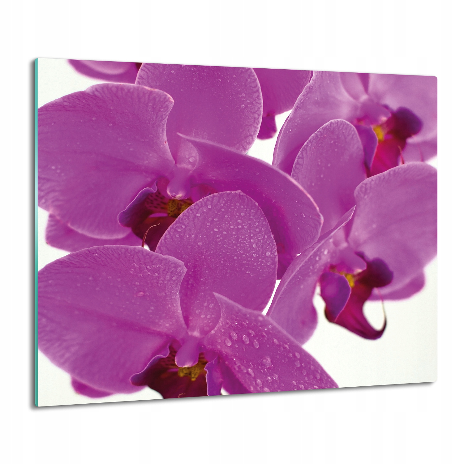 

osłona na płytę indukcyjną Storczyk orchidea 60x52