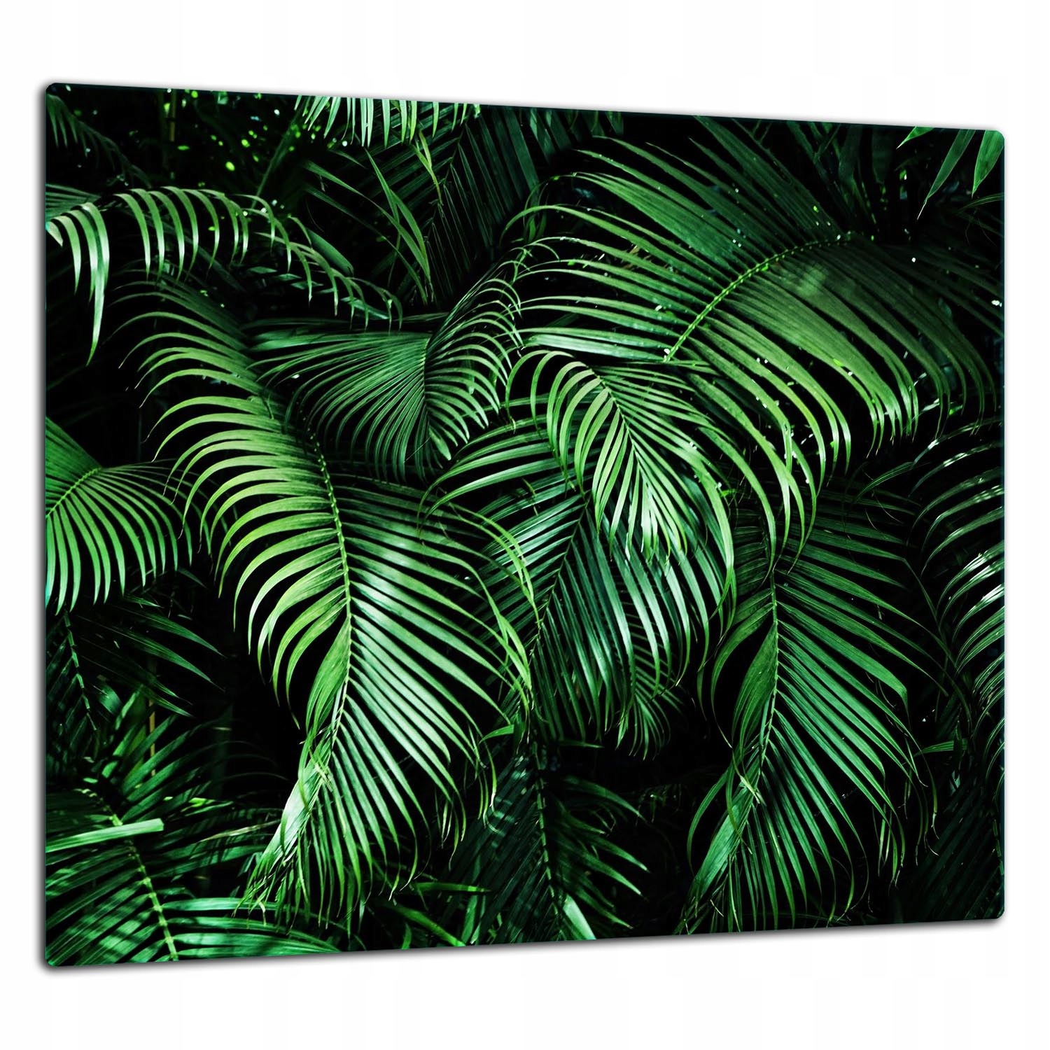 Skleněná Ochranná Deska Panel Lepidlo 65x60 Listy Tvrzené sklo 7v1