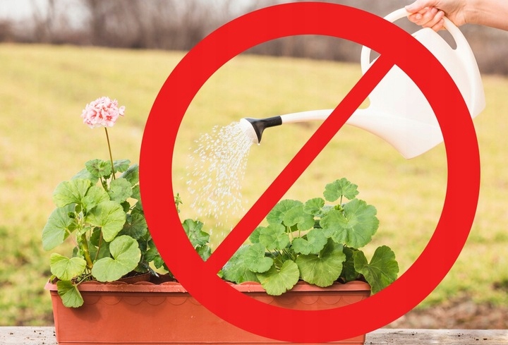 Hydrożel zapobiegający suszy do roślin warzyw 5 kg Waga 5 kg