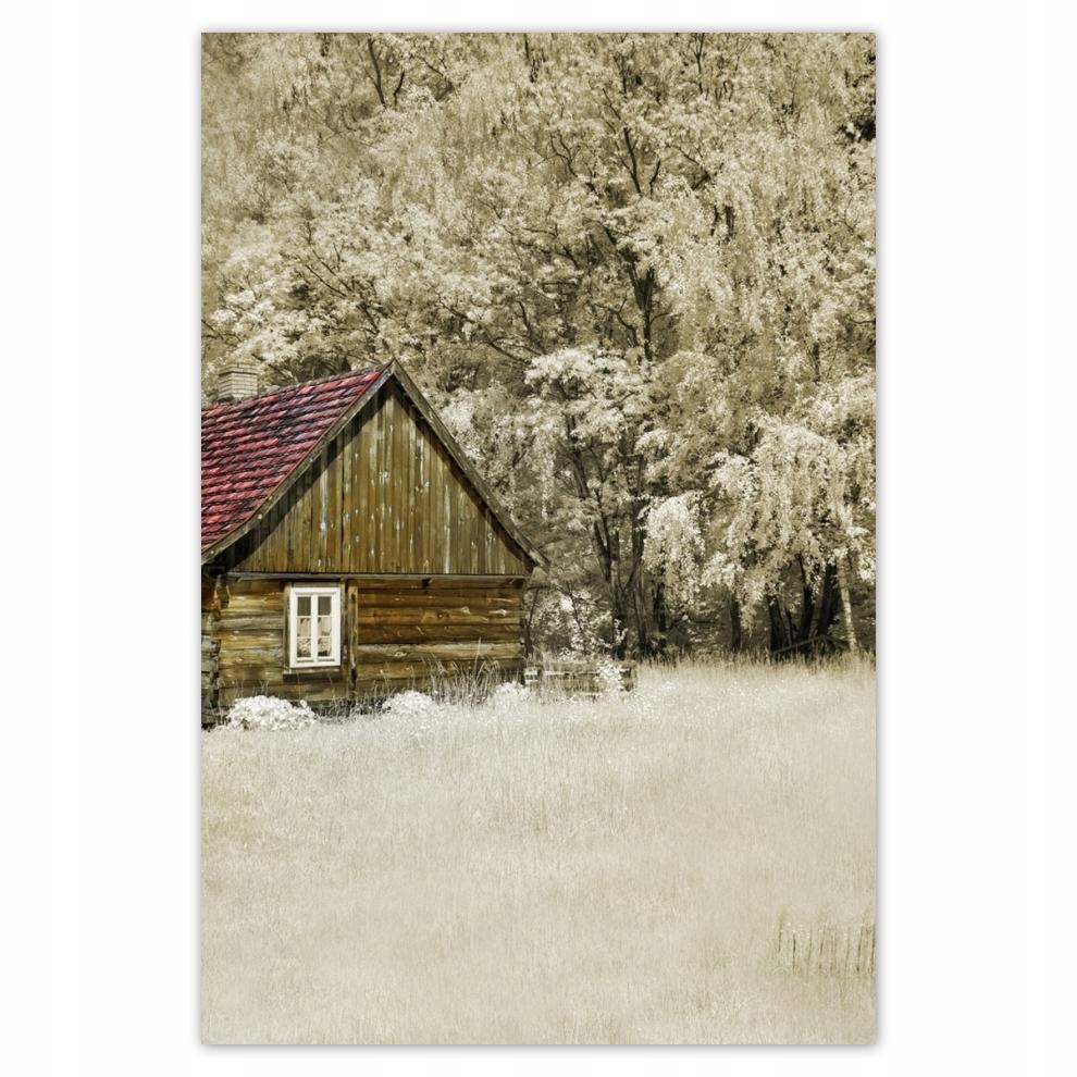 

Plakaty 40x60 Domek z bali Bale