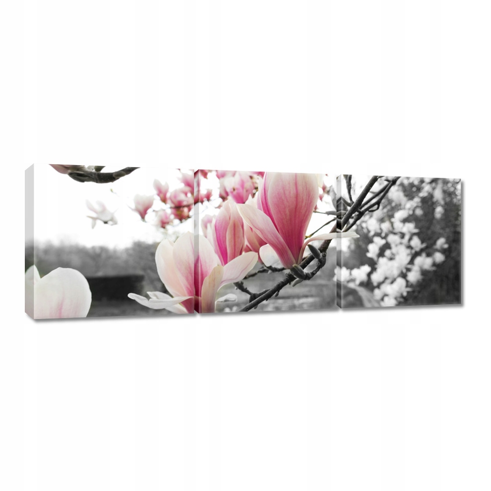 

Obrazy 90x30 Magnolia Kwiatki Kwiaty