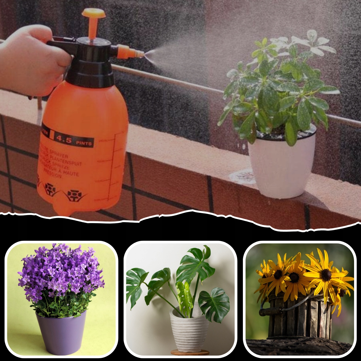 OPRYSKIWACZ CIŚNIENIOWY OPRYSKIWACZ RĘCZNY OGRODOWY DOMOWY SPRYSKIWACZ 2L Kod producenta OPRYSKIWACZ 2L RĘCZNY KOMPRESYJNY