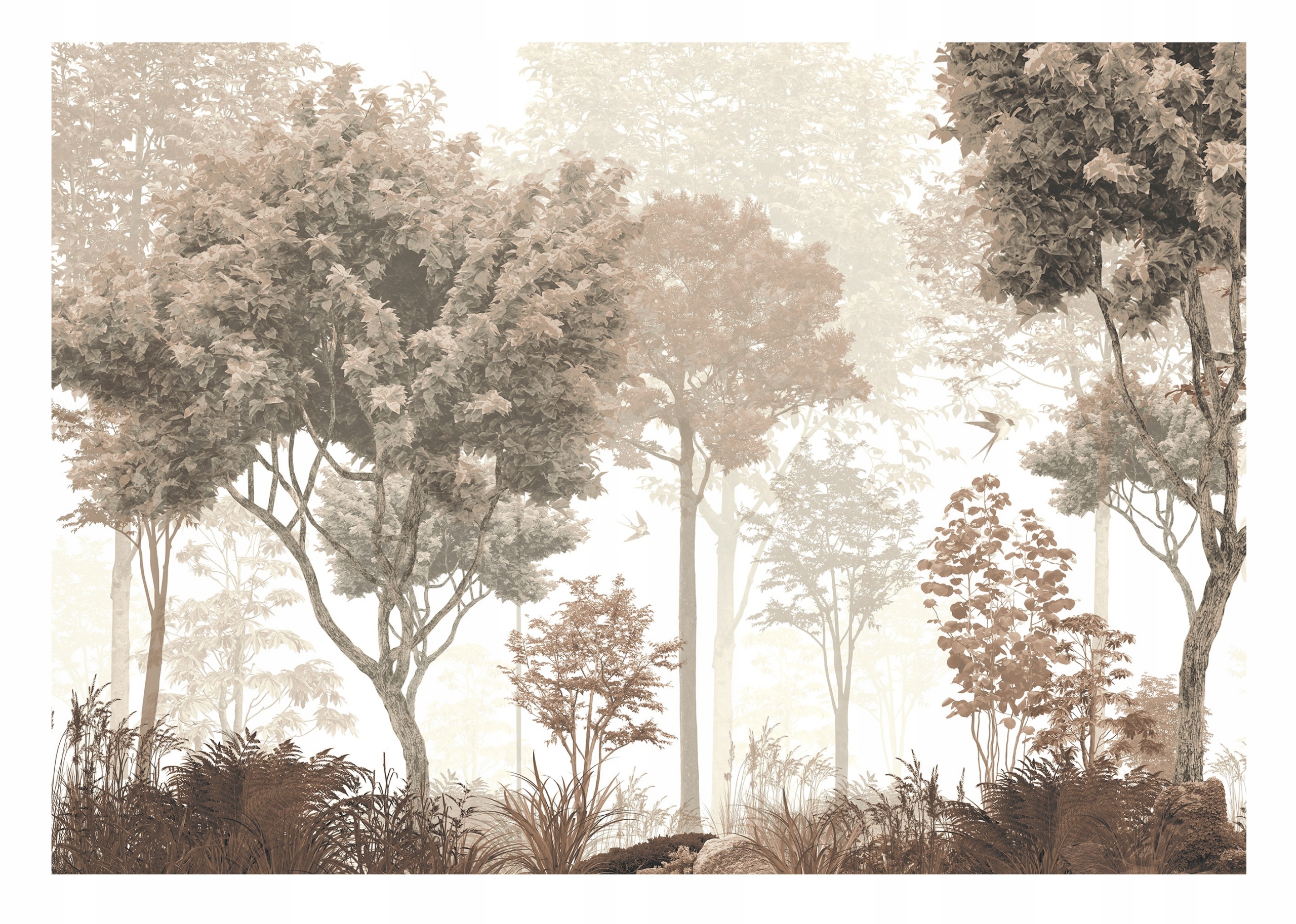 Fototapeta Les Stromy Sepia Podzim Rostliny 416x254